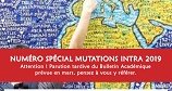 Journal académique n°393 - Spécial Mutation Intra 2019