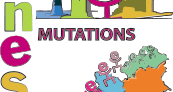 Portail Mutation intra-académique 2018