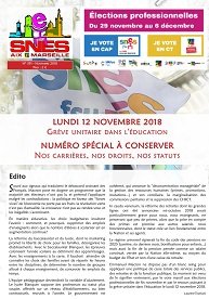 Journal académique n°391 - Spécial Carrière 2018